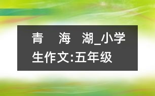 青    海   湖_小學(xué)生作文:五年級(jí)