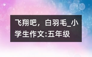 飛翔吧，白羽毛_小學(xué)生作文:五年級(jí)