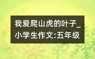 我愛(ài)爬山虎的葉子_小學(xué)生作文:五年級(jí)