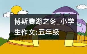 博斯騰湖之冬_小學(xué)生作文:五年級(jí)