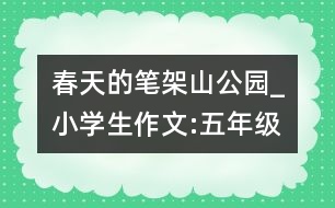 春天的筆架山公園_小學(xué)生作文:五年級