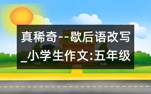 真稀奇--歇后語改寫_小學(xué)生作文:五年級(jí)