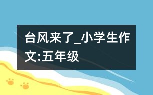 臺(tái)風(fēng)來(lái)了_小學(xué)生作文:五年級(jí)