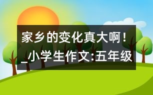 家鄉(xiāng)的變化真大?。小學生作文:五年級