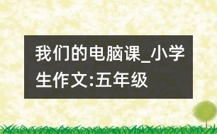 我們的電腦課_小學(xué)生作文:五年級(jí)