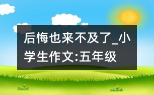 后悔也來(lái)不及了_小學(xué)生作文:五年級(jí)