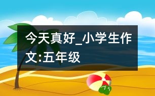 今天真好_小學生作文:五年級