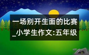 一場(chǎng)別開生面的比賽_小學(xué)生作文:五年級(jí)