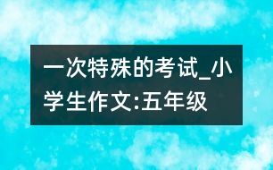 一次特殊的考試_小學(xué)生作文:五年級(jí)