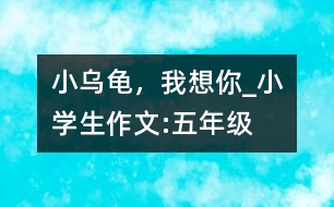 小烏龜，我想你_小學生作文:五年級