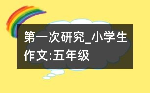 第一次研究_小學(xué)生作文:五年級(jí)