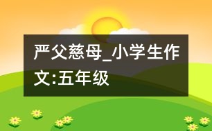 嚴父慈母_小學(xué)生作文:五年級