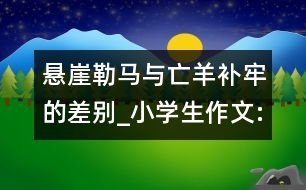 懸崖勒馬與亡羊補(bǔ)牢的差別_小學(xué)生作文:五年級(jí)