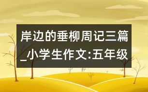 岸邊的垂柳（周記三篇）_小學生作文:五年級