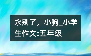 永別了，小狗_小學(xué)生作文:五年級(jí)