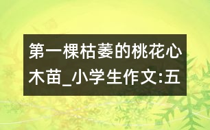 第一棵枯萎的桃花心木苗_小學(xué)生作文:五年級(jí)