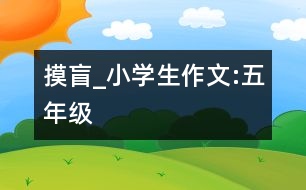 摸盲_小學(xué)生作文:五年級