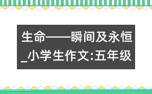 生命――瞬間及永恒_小學(xué)生作文:五年級