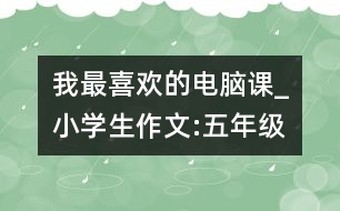 我最喜歡的電腦課_小學(xué)生作文:五年級