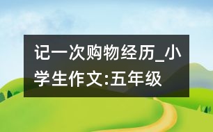 記一次購物經(jīng)歷_小學(xué)生作文:五年級