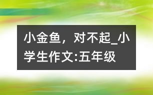 小金魚，對不起_小學(xué)生作文:五年級