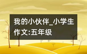 我的“小伙伴”_小學(xué)生作文:五年級(jí)