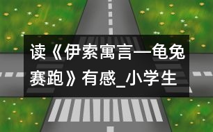 讀《伊索寓言―龜兔賽跑》有感_小學生作文:五年級