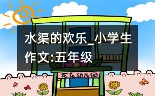 水渠的歡樂_小學(xué)生作文:五年級(jí)