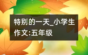 特別的一天_小學(xué)生作文:五年級