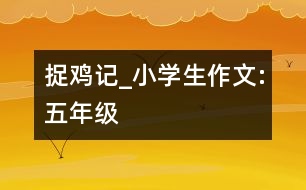 捉雞記_小學(xué)生作文:五年級