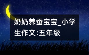 奶奶養(yǎng)蠶寶寶_小學(xué)生作文:五年級(jí)