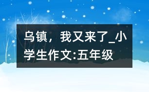 烏鎮(zhèn)，我又來了_小學(xué)生作文:五年級(jí)