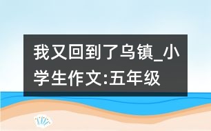 我又回到了烏鎮(zhèn)_小學生作文:五年級