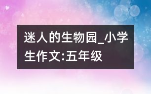 迷人的生物園_小學(xué)生作文:五年級(jí)