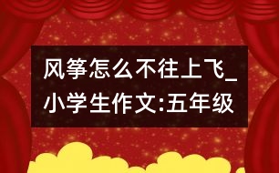 風(fēng)箏怎么不往上飛_小學(xué)生作文:五年級