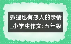 狐貍也有感人的親情_小學(xué)生作文:五年級