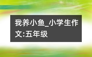 我養(yǎng)小魚(yú)_小學(xué)生作文:五年級(jí)