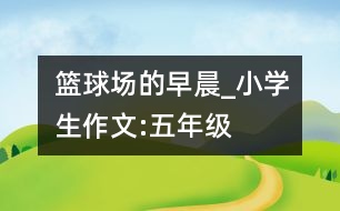 籃球場(chǎng)的早晨_小學(xué)生作文:五年級(jí)