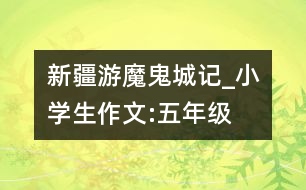 新疆游“魔鬼城”記_小學(xué)生作文:五年級