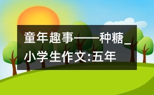 童年趣事――“種”糖_小學(xué)生作文:五年級