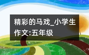 精彩的馬戲_小學(xué)生作文:五年級