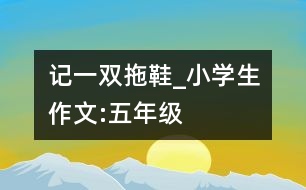 記一雙拖鞋_小學(xué)生作文:五年級(jí)