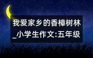 我愛家鄉(xiāng)的香樟樹林_小學(xué)生作文:五年級(jí)