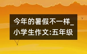 今年的暑假不一樣_小學(xué)生作文:五年級(jí)