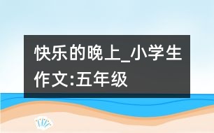 快樂的晚上_小學生作文:五年級