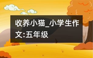 收養(yǎng)小貓_小學(xué)生作文:五年級(jí)