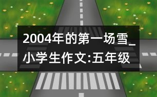 2004年的第一場(chǎng)雪_小學(xué)生作文:五年級(jí)