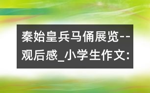 秦始皇兵馬俑展覽--觀后感_小學(xué)生作文:五年級(jí)