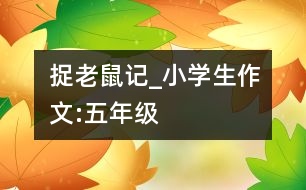 捉老鼠記_小學生作文:五年級