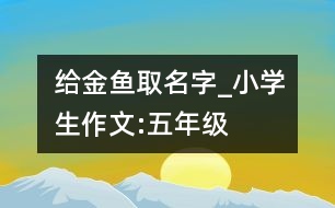 給金魚取名字_小學(xué)生作文:五年級